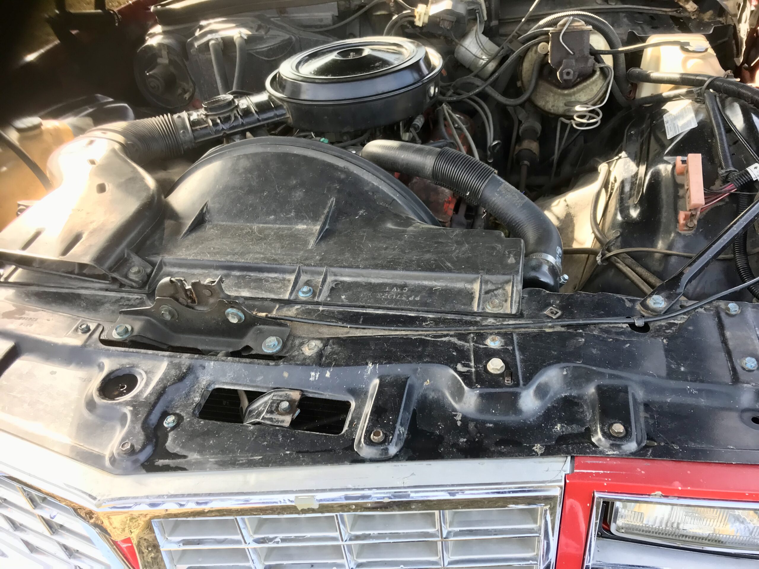 Photo 2023-10-15, 11 11 21 AM